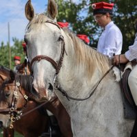 Zobacz w powiększeniu: POWSTANIE STYCZNIOWE – 160 lat później w Baranowie (13)